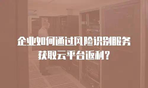企业如何通过风险识别服务获取云平台返利？