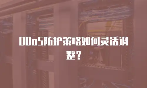 DDoS防护策略如何灵活调整？