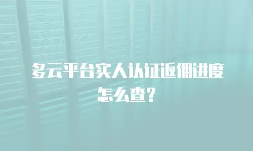 多云平台实人认证返佣进度怎么查？