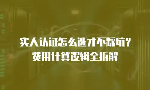 实人认证怎么选才不踩坑？费用计算逻辑全拆解
