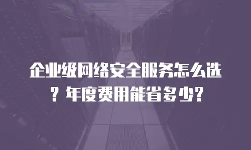 企业级网络安全服务怎么选？年度费用能省多少？