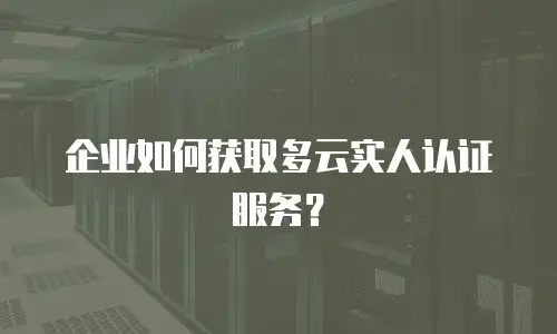 企业如何获取多云实人认证服务？