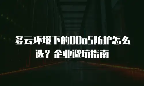 多云环境下的DDoS防护怎么选？企业避坑指南