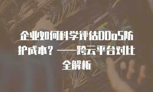 企业如何科学评估DDoS防护成本？——跨云平台对比全解析