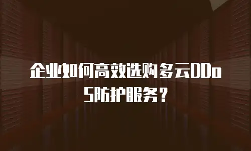 企业如何高效选购多云DDoS防护服务？