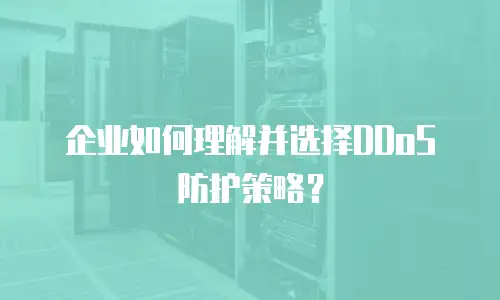 企业如何理解并选择DDoS防护策略？