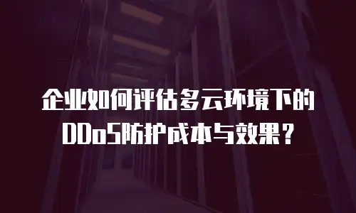 企业如何评估多云环境下的DDoS防护成本与效果？