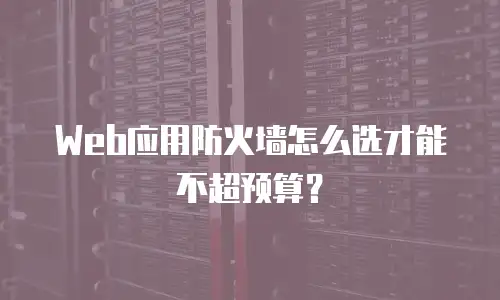 Web应用防火墙怎么选才能不超预算？