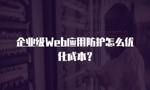 企业级Web应用防护怎么优化成本？