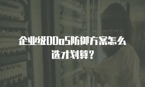 企业级DDoS防御方案怎么选才划算？