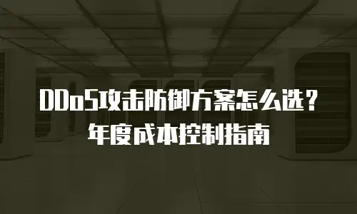 DDoS攻击防御方案怎么选？年度成本控制指南