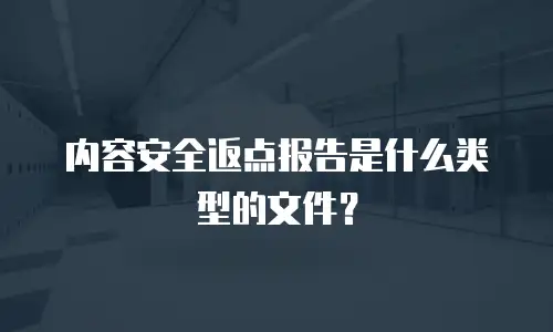 内容安全返点报告是什么类型的文件？