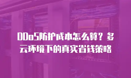 DDoS防护成本怎么算？多云环境下的真实省钱策略