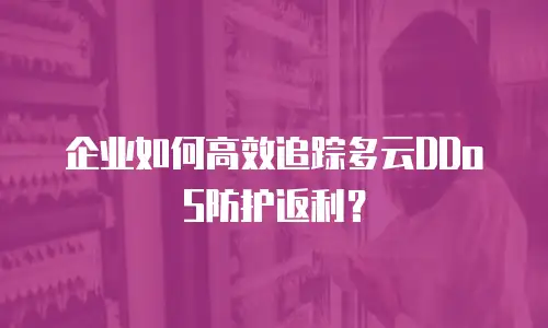 企业如何高效追踪多云DDoS防护返利？