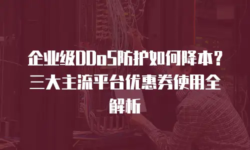 企业级DDoS防护如何降本？三大主流平台优惠券使用全解析