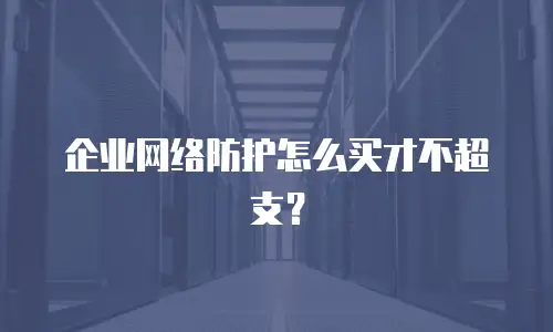 企业网络防护怎么买才不超支？
