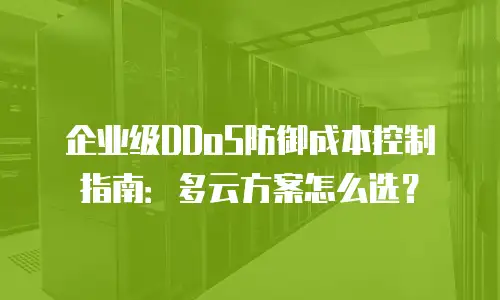 企业级DDoS防御成本控制指南：多云方案怎么选？
