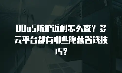 DDoS防护返利怎么查？多云平台都有哪些隐藏省钱技巧？