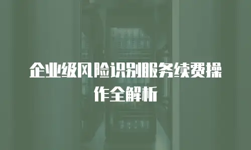 企业级风险识别服务续费操作全解析