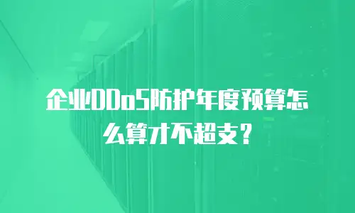 企业DDoS防护年度预算怎么算才不超支？
