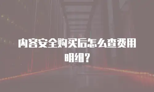 内容安全购买后怎么查费用明细？