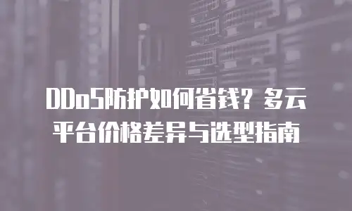 DDoS防护如何省钱？多云平台价格差异与选型指南