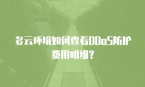 多云环境如何查看DDoS防护费用明细？