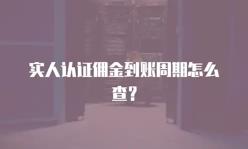 实人认证佣金到账周期怎么查？