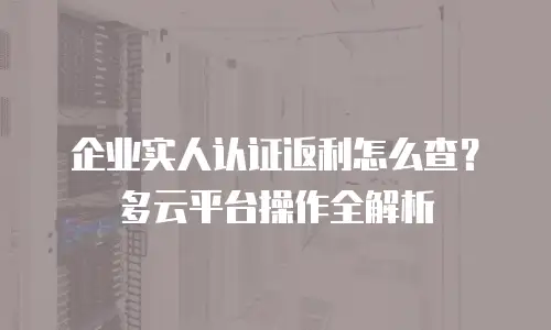 企业实人认证返利怎么查？多云平台操作全解析
