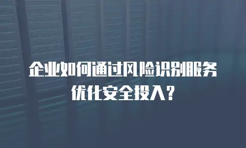 企业如何通过风险识别服务优化安全投入？