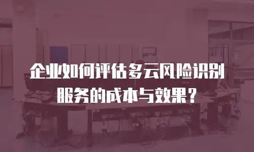 企业如何评估多云风险识别服务的成本与效果？