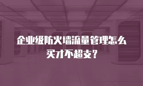 企业级防火墙流量管理怎么买才不超支？