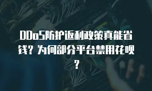 DDoS防护返利政策真能省钱？为何部分平台禁用花呗？