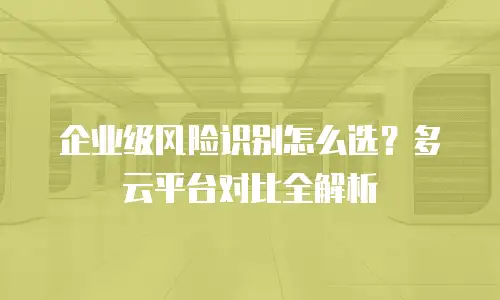 企业级风险识别怎么选？多云平台对比全解析
