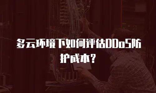 多云环境下如何评估DDoS防护成本？