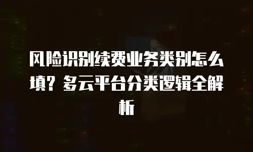 风险识别续费业务类别怎么填？多云平台分类逻辑全解析