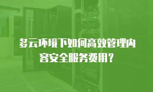 多云环境下如何高效管理内容安全服务费用？