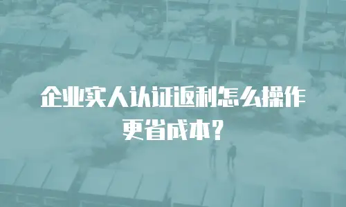 企业实人认证返利怎么操作更省成本？