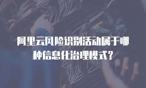 阿里云风险识别活动属于哪种信息化治理模式？