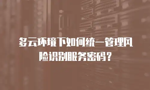 多云环境下如何统一管理风险识别服务密码？