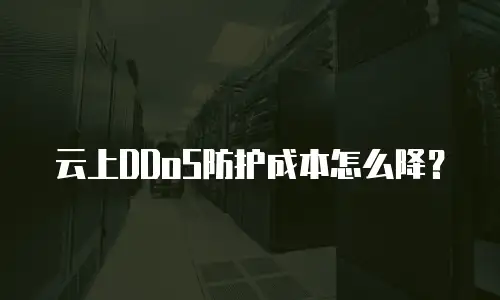 云上DDoS防护成本怎么降？