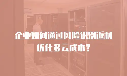 企业如何通过风险识别返利优化多云成本？