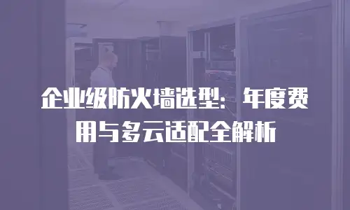 企业级防火墙选型：年度费用与多云适配全解析