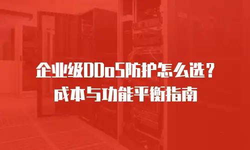 企业级DDoS防护怎么选？成本与功能平衡指南