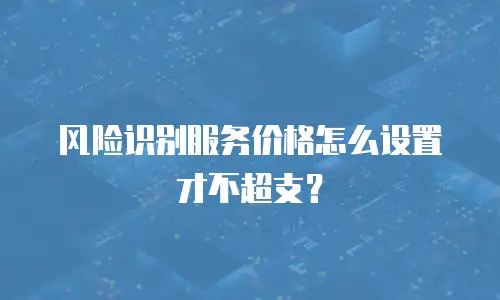 风险识别服务价格怎么设置才不超支？