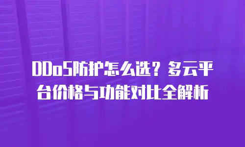 DDoS防护怎么选？多云平台价格与功能对比全解析