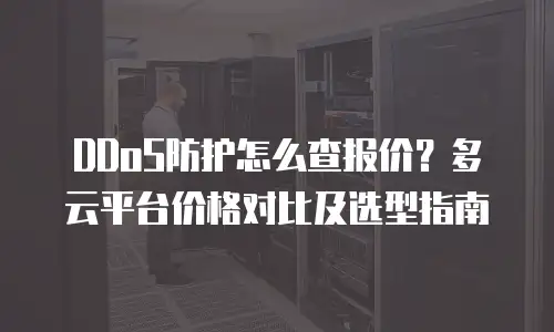 DDoS防护怎么查报价？多云平台价格对比及选型指南
