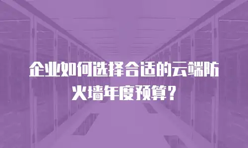 企业如何选择合适的云端防火墙年度预算？