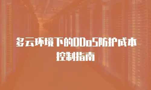 多云环境下的DDoS防护成本控制指南