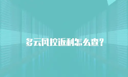 多云风控返利怎么查？